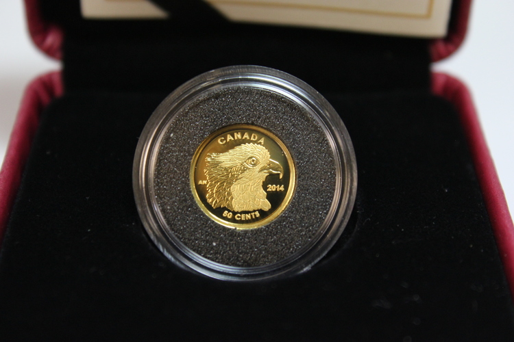 Piece_50Cents_or_pur_2014_Le_balbuzard_pecheur_2.JPG