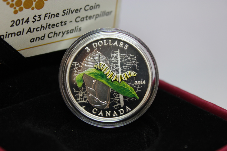 Piece_de_3dollar_en_argent_fin_2014_Animaux_batisseur_la_chenille_et_sa_chrysalide_2.JPG